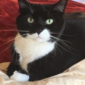 Meet your Posher, Tracey